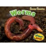 Worms (Rhyme Along: Creepy Crawlies) Hardback